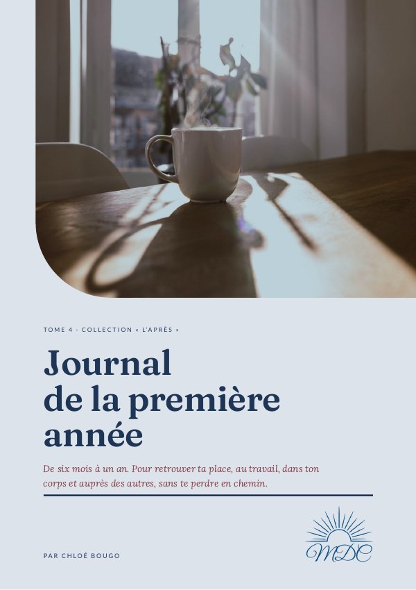 Couverture du tome 4, Journal de la première année